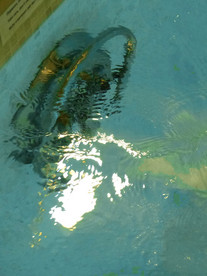 istra la vista - casa acqua dolce - wellness